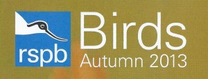 rspb logo