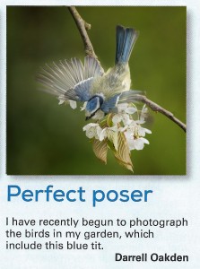 rspb photo