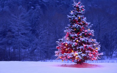 Christmas Competition 2015