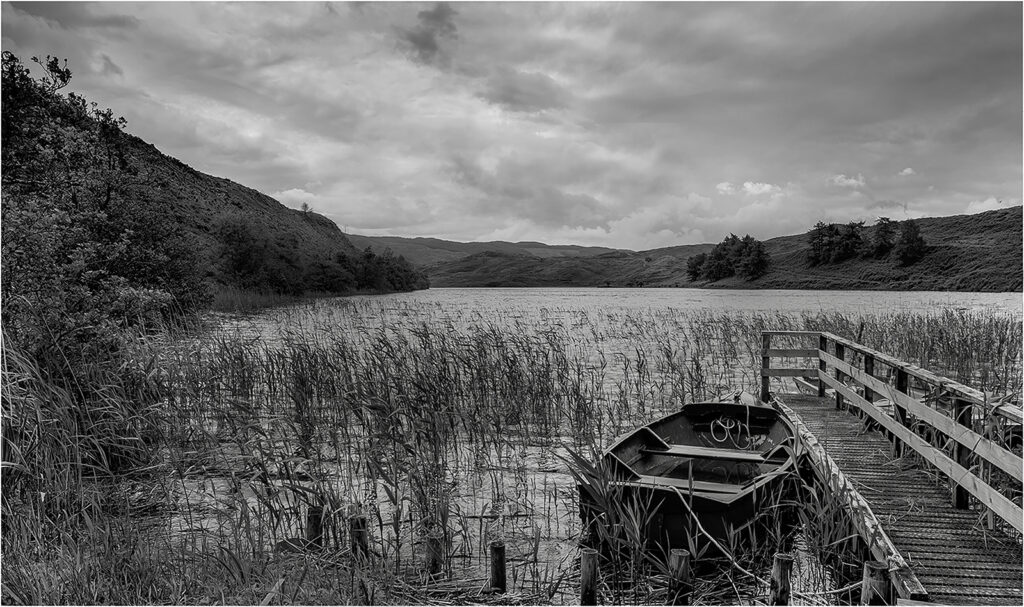 5th C_ The Trout Fishery_David Beardmore 5th C_ The Trout Fishery_David Beardmore