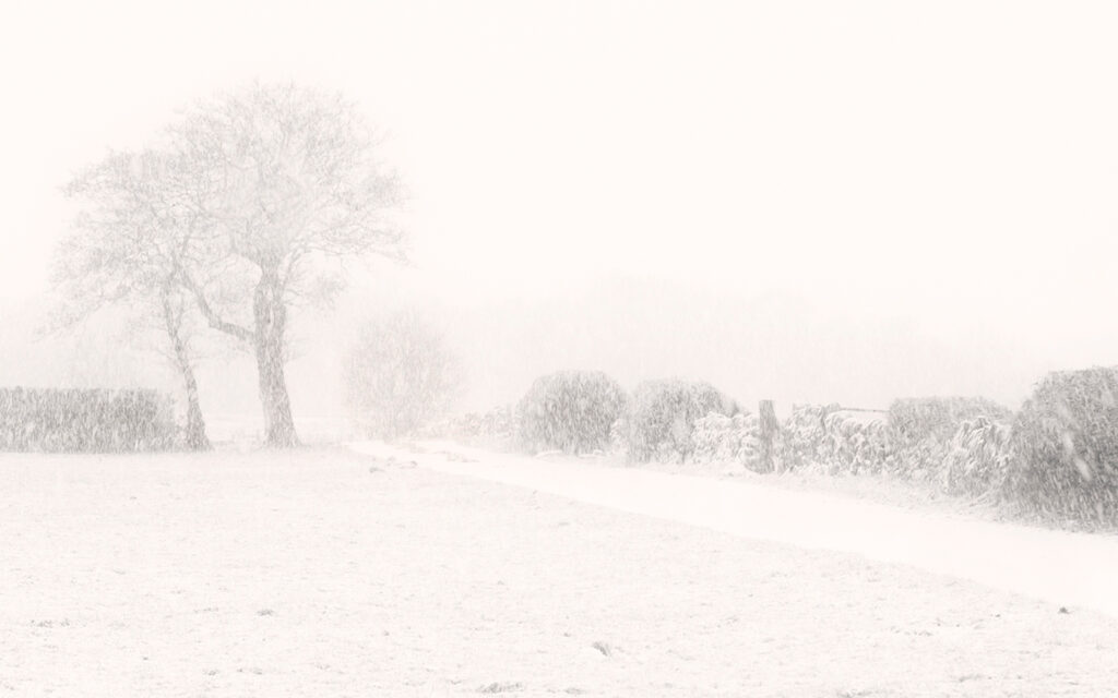 4th_Highly Commended_ Blizzard_Sandra Blackburn 4th_Highly Commended_ Blizzard_Sandra Blackburn