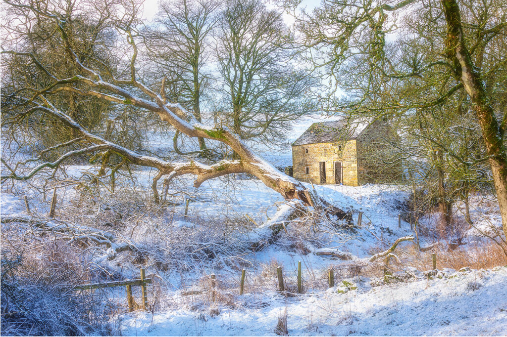 2nd_Winter Sun (Peak Disrtict)_Geoff Reader 2nd_Winter Sun (Peak Disrtict)_Geoff Reader