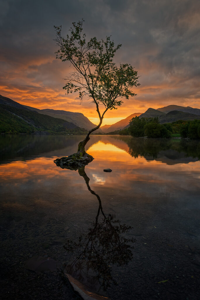 3rd_Lone Tree_Jon Blackburn 3rd_Lone Tree_Jon Blackburn