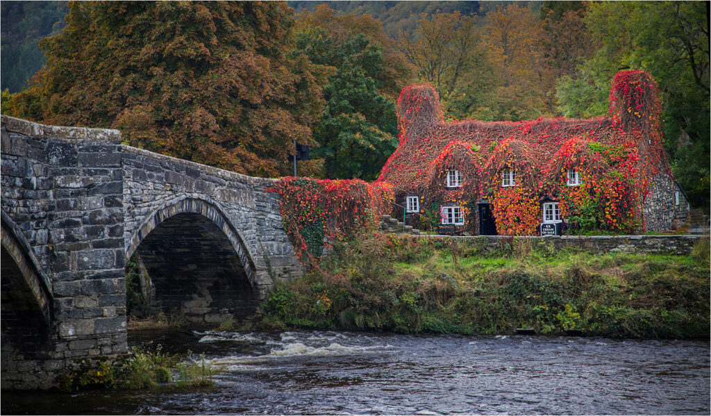 3rd_The Tea Rooms_Andrew Donkin 3rd_The Tea Rooms_Andrew Donkin